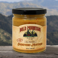 Load image into Gallery viewer, An 8-ounce jar of Habanero Mustard from Bold Mountain Harvest. The mustard is labeled x-hot and is shown in front of a view of mountains.